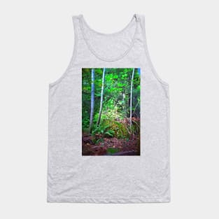 Birch Trees Tank Top